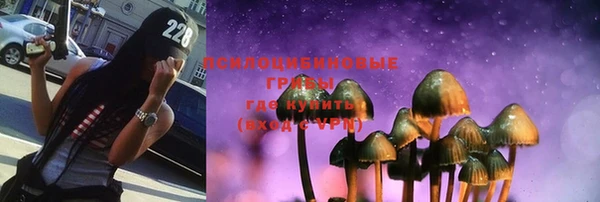 шишки Балахна