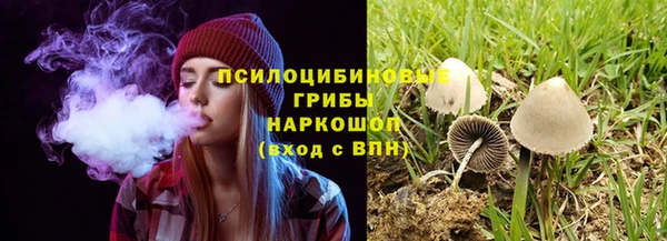 таблы Алзамай