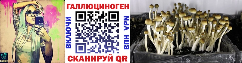 дарнет шоп  Вилюйск  Галлюциногенные грибы Magic Shrooms 