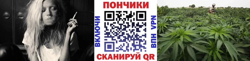 Шишки марихуана сатива  закладка  Вилюйск 